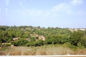 Israel - Karmel